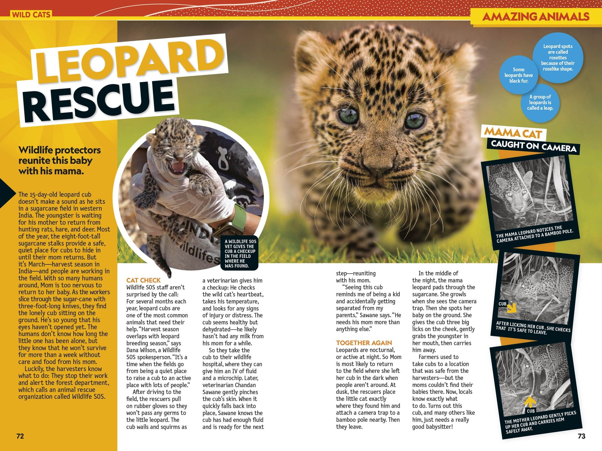 National Geographic Kids Almanac 2027
