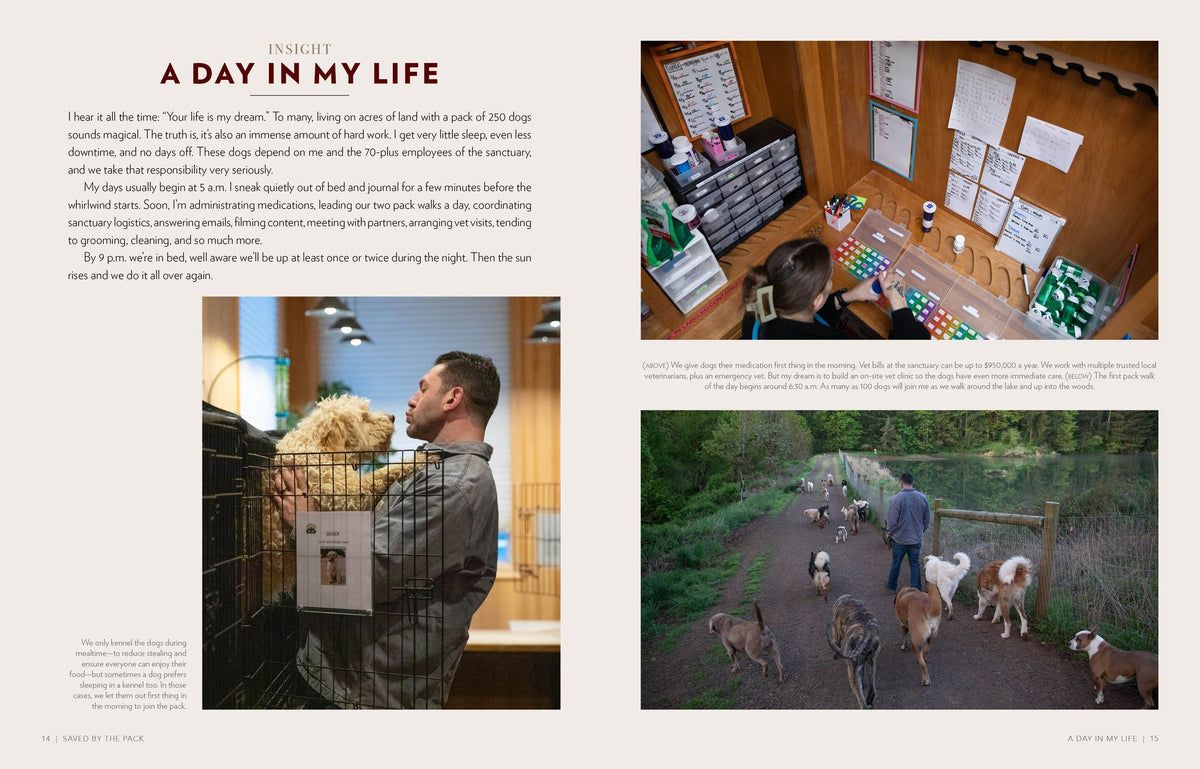 Saved by the Pack: How 50 Dogs Helped Me Find My Purpose