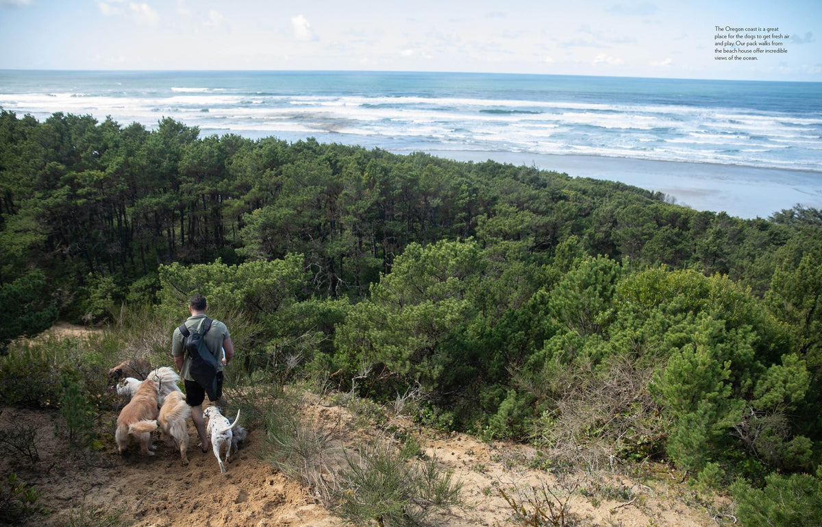 Saved by the Pack: How 50 Dogs Helped Me Find My Purpose