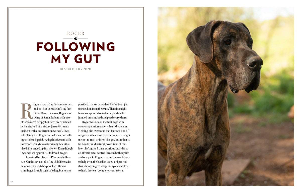 Saved by the Pack: How 50 Dogs Helped Me Find My Purpose