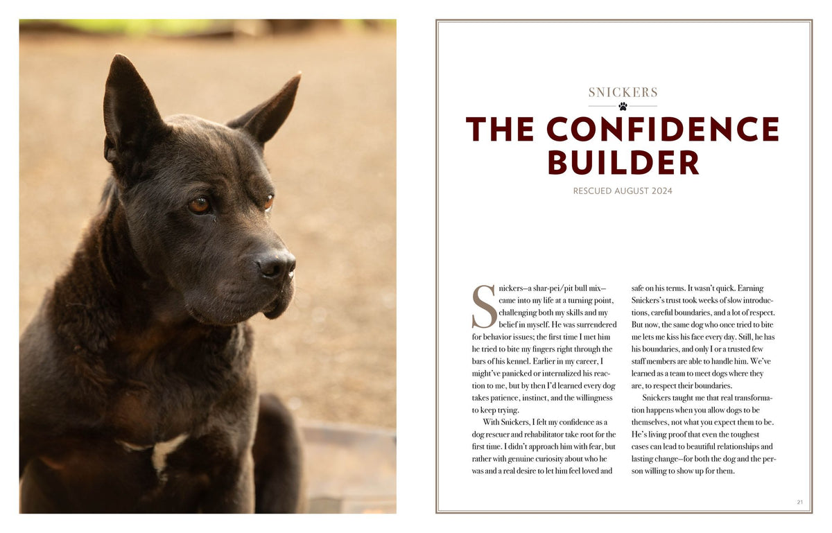 Saved by the Pack: How 50 Dogs Helped Me Find My Purpose