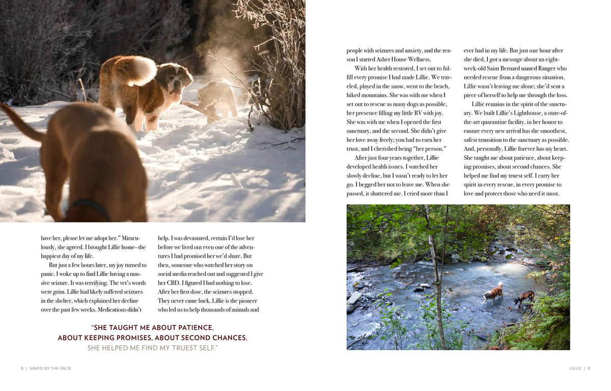 Saved by the Pack: How 50 Dogs Helped Me Find My Purpose