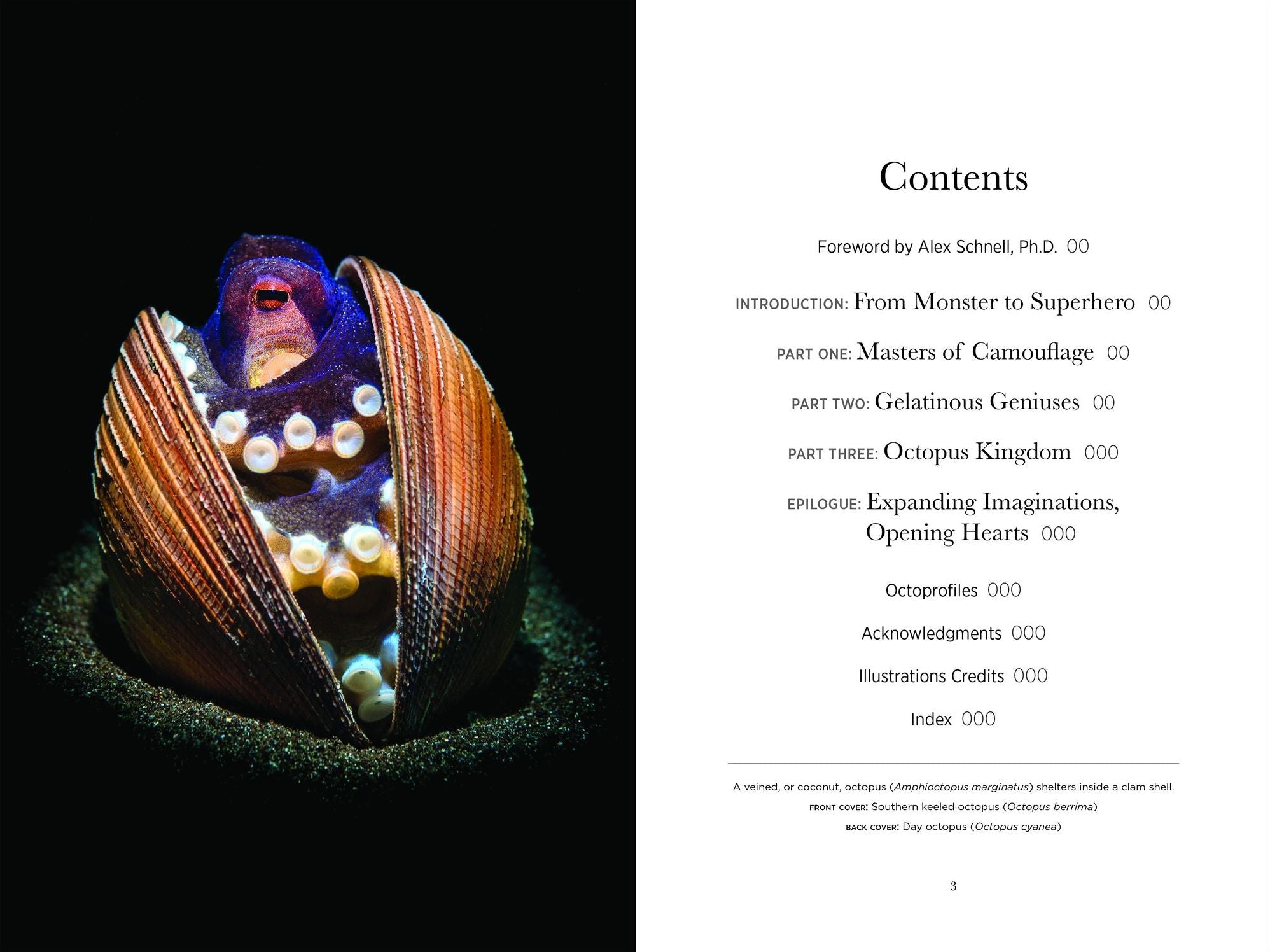 Secrets of the Octopus (B&N Exclusive Edition)