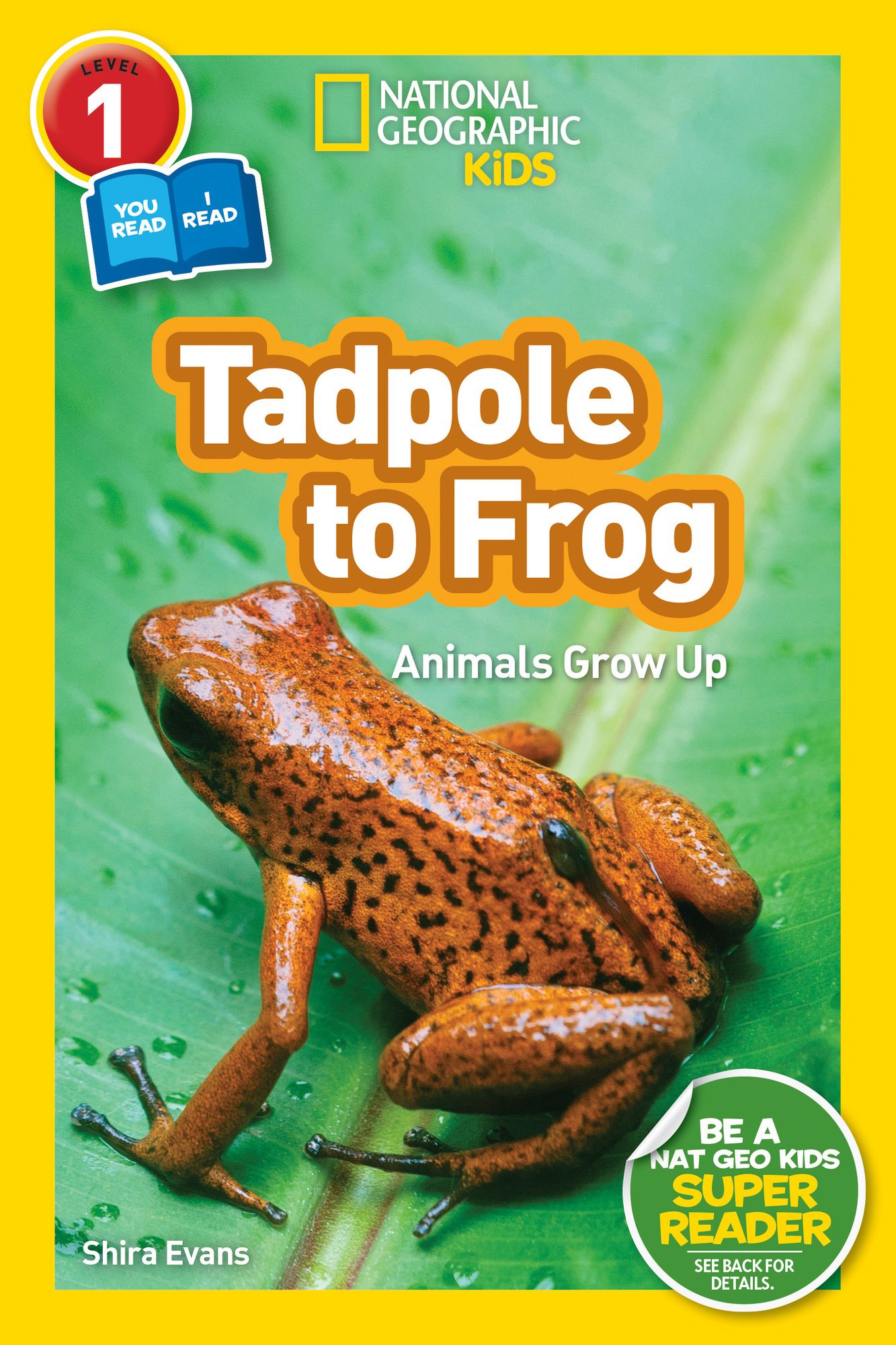Tadpole to Frog (National Geographic Readers Series: Level 1/Co-reader)