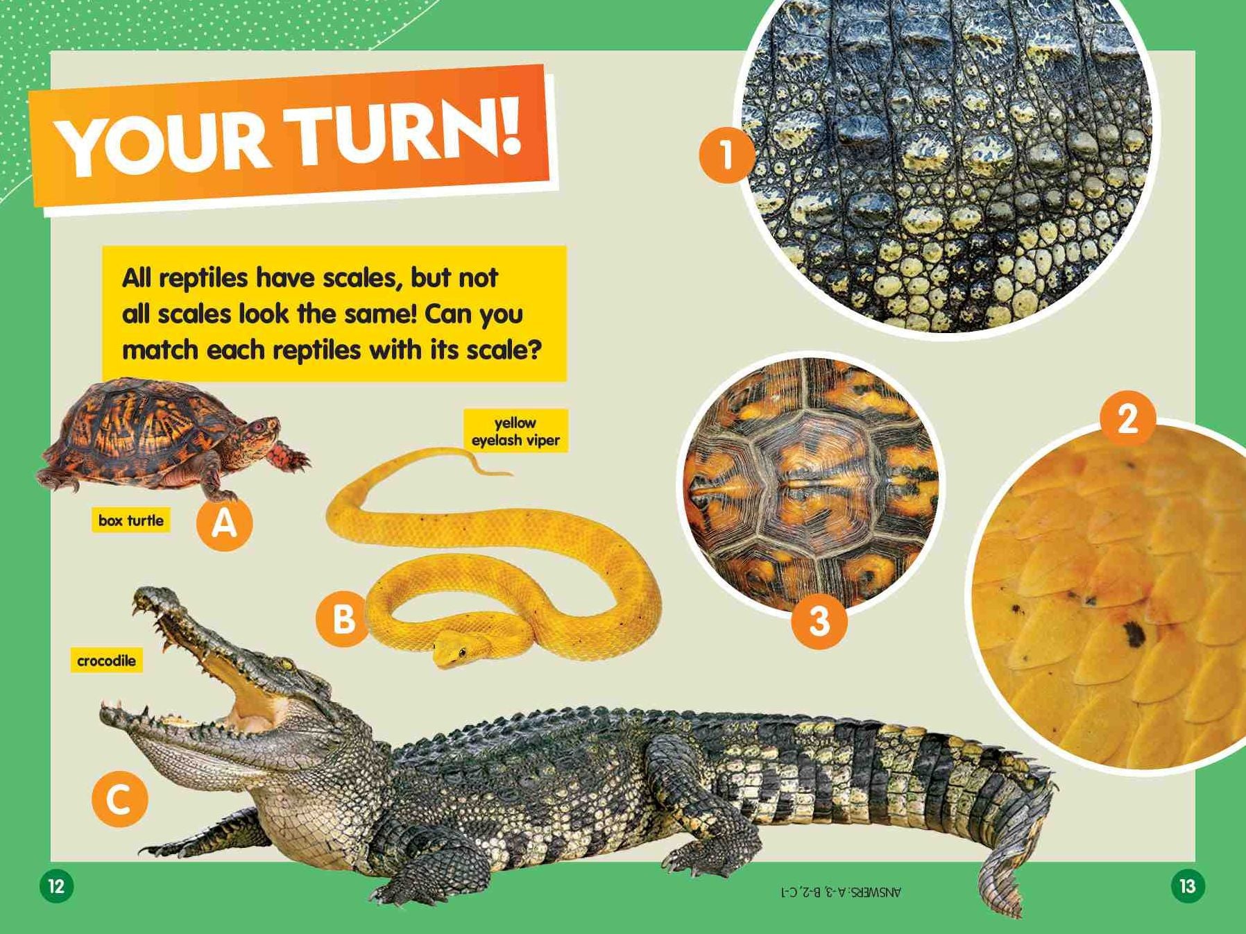 Reptiles (National Geographic Kids Readers, Level 1/Co-Reader)