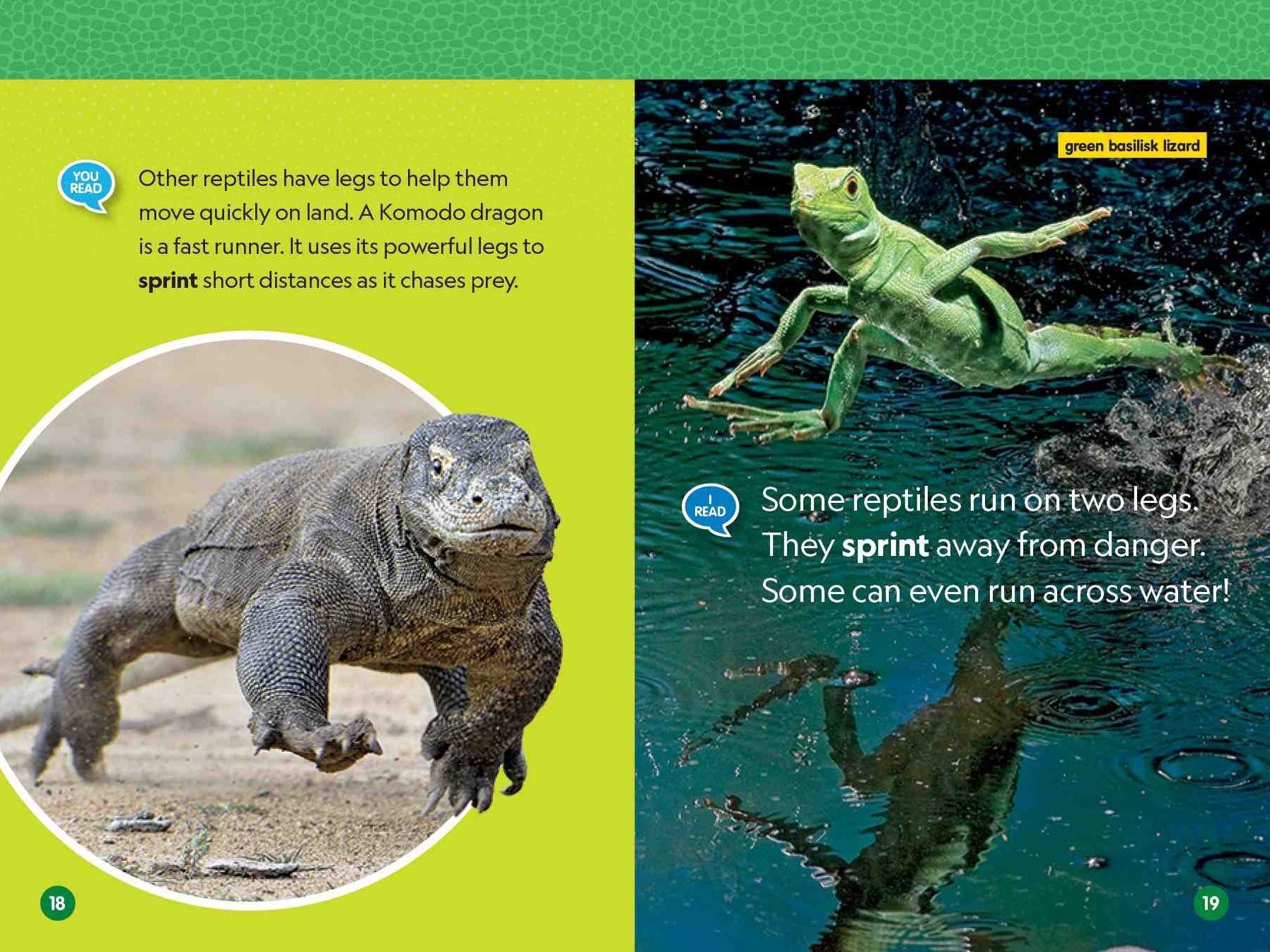 Reptiles (National Geographic Kids Readers, Level 1/Co-Reader)