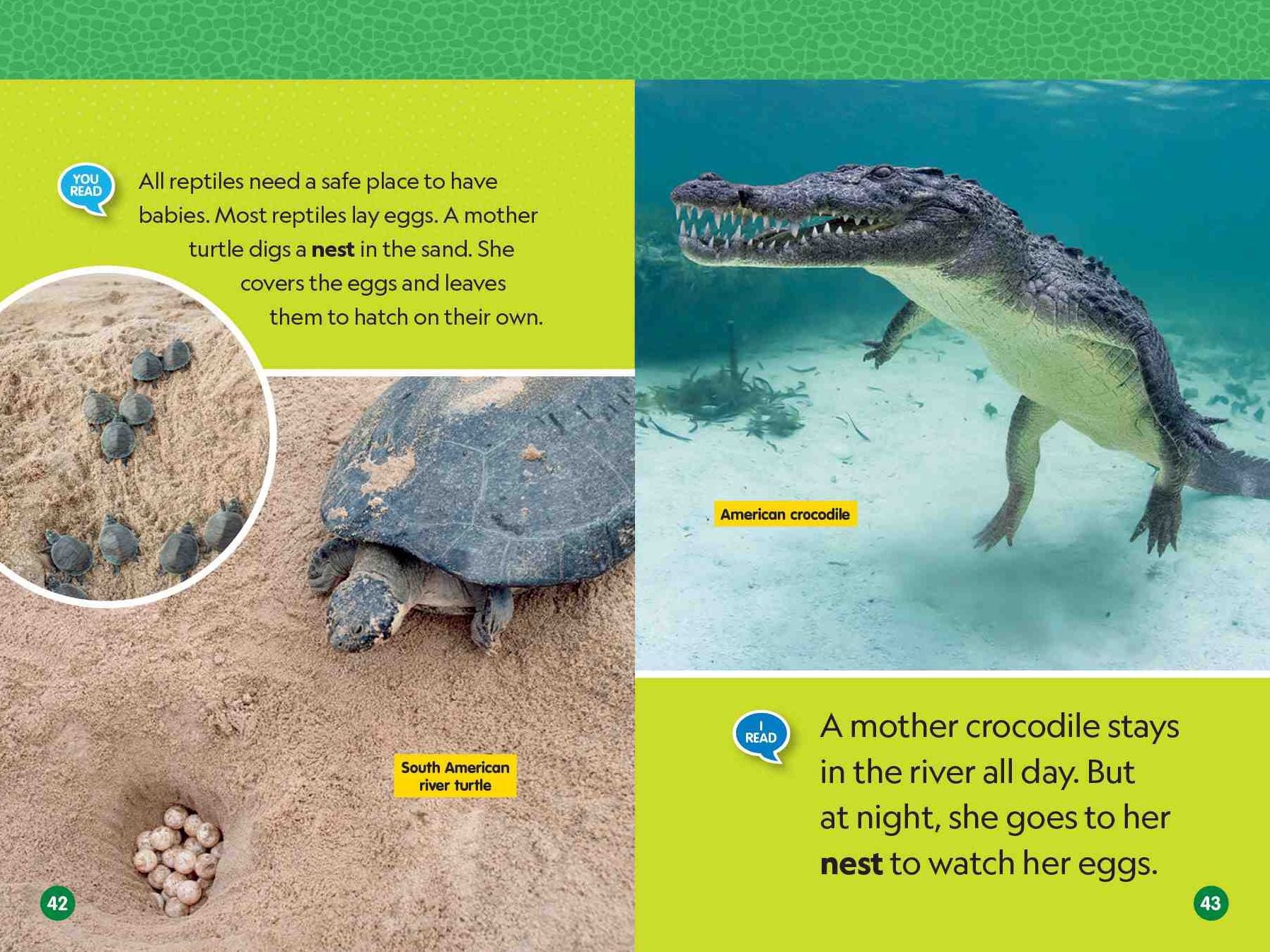 Reptiles (National Geographic Kids Readers, Level 1/Co-Reader)