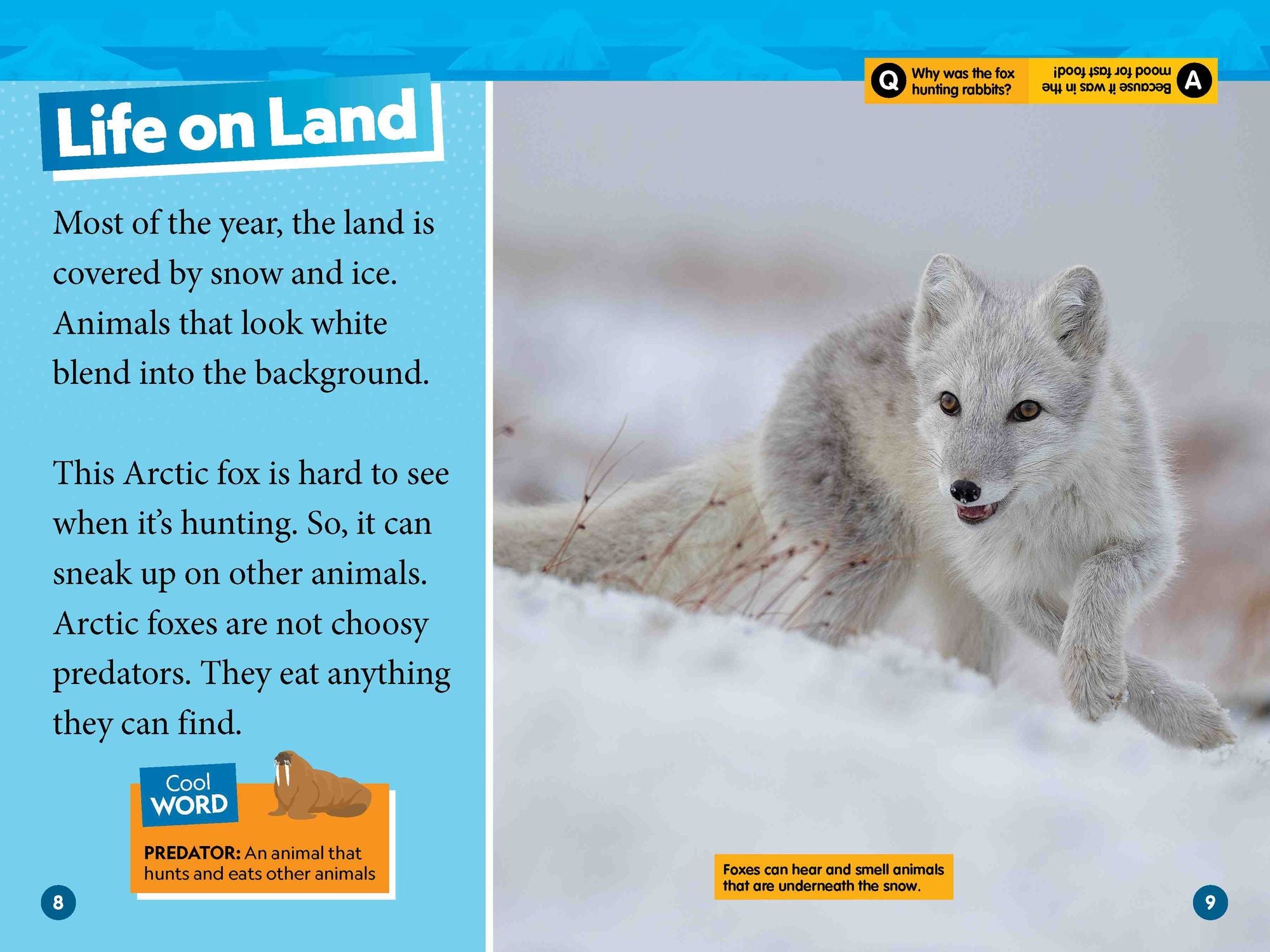 Arctic Animals (National Geographic Kids Readers, Level 2)