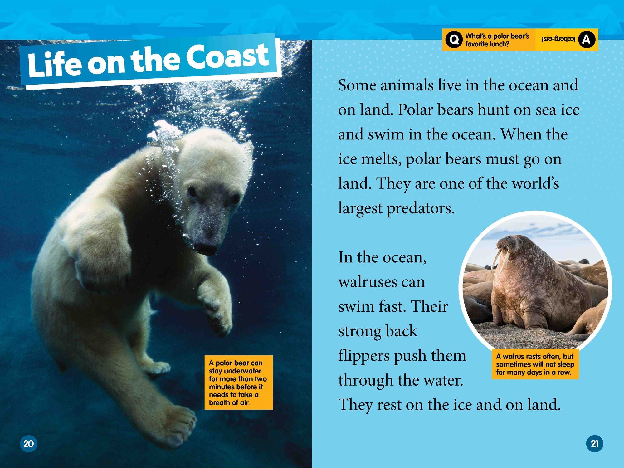 Arctic Animals (National Geographic Kids Readers, Level 2)