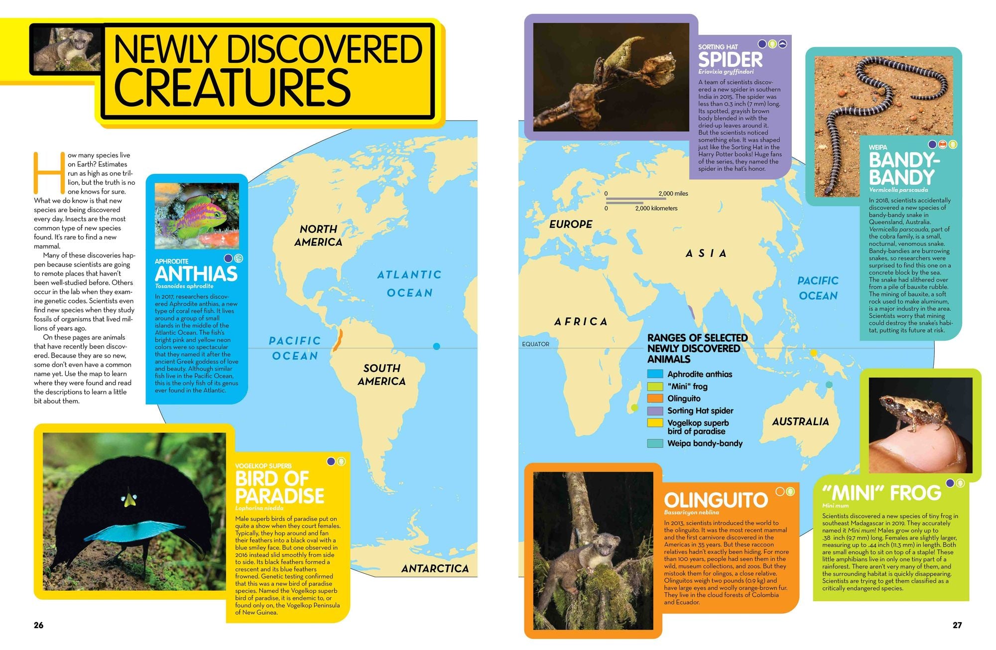 National Geographic Kids Animal Encyclopedia, 2nd Edition: 2,500 Animals with Photos, Maps, and More!