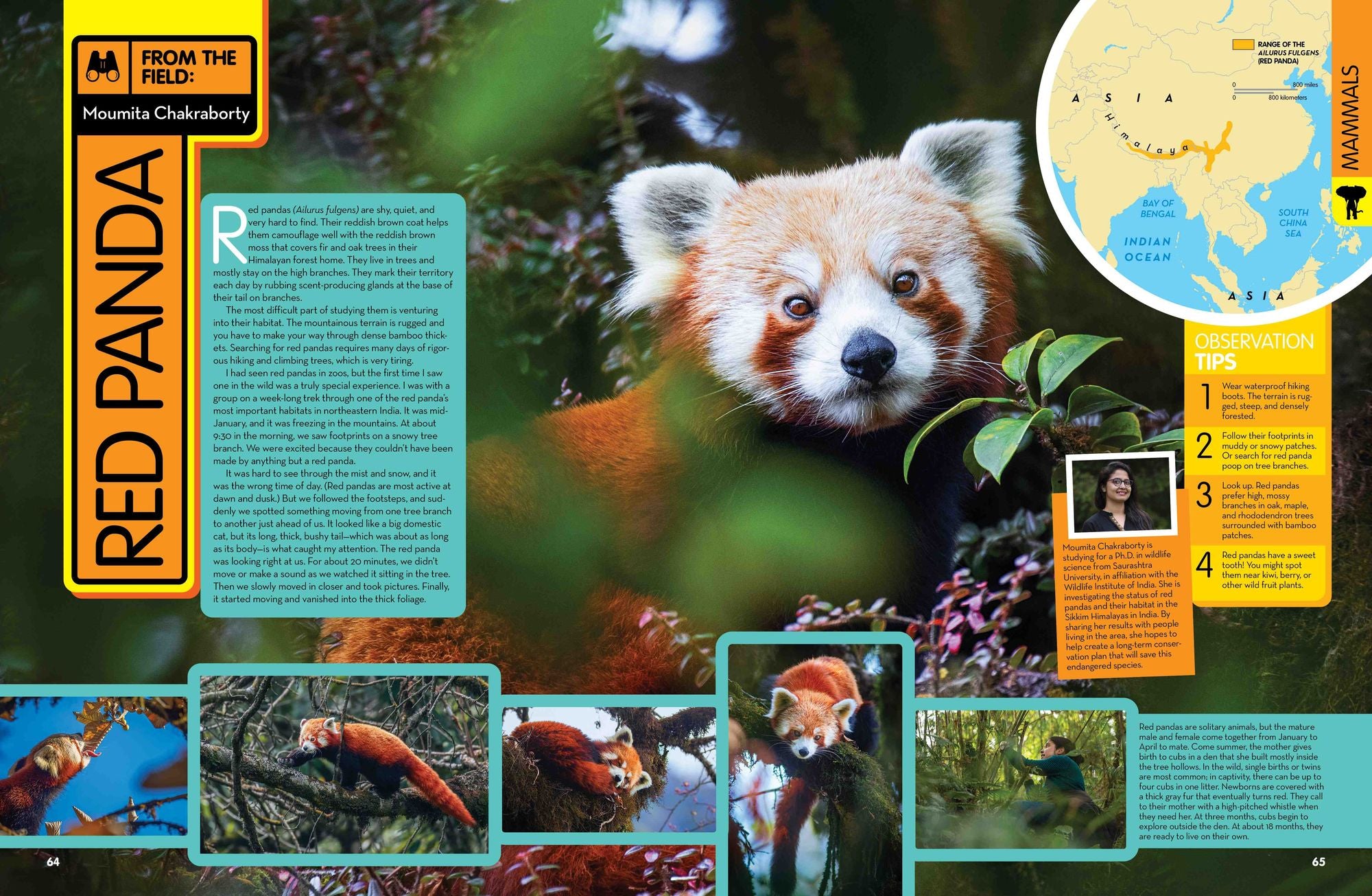 National Geographic Kids Animal Encyclopedia, 2nd Edition: 2,500 Animals with Photos, Maps, and More!