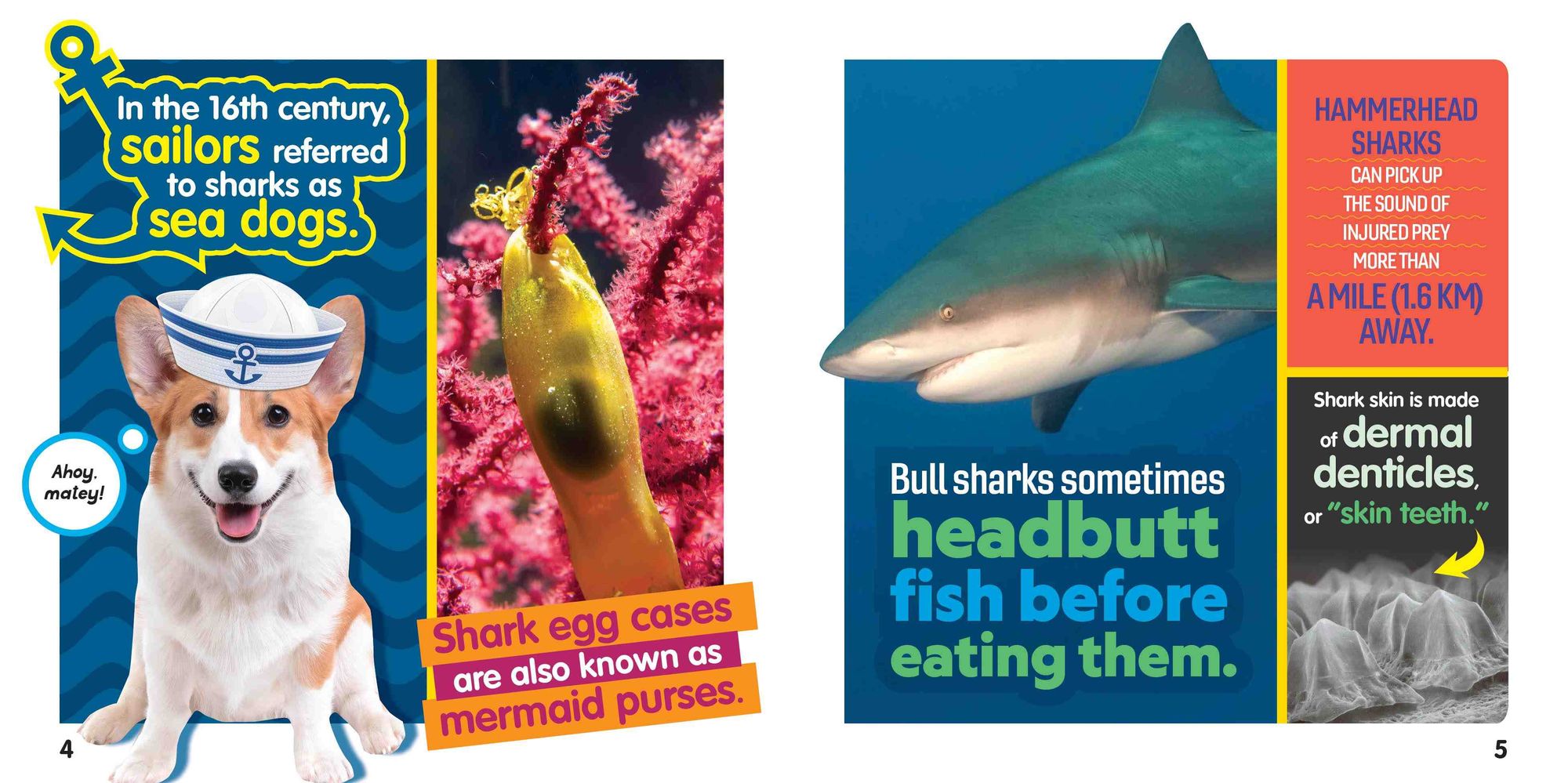 Weird But True! Sharks: 300 Fin-nomenal Facts to Dive Into