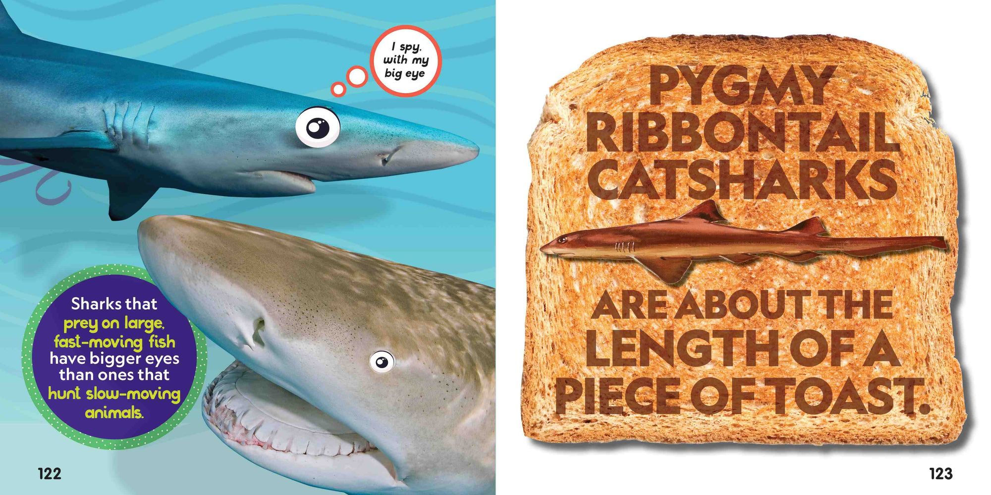 Weird But True! Sharks: 300 Fin-nomenal Facts to Dive Into