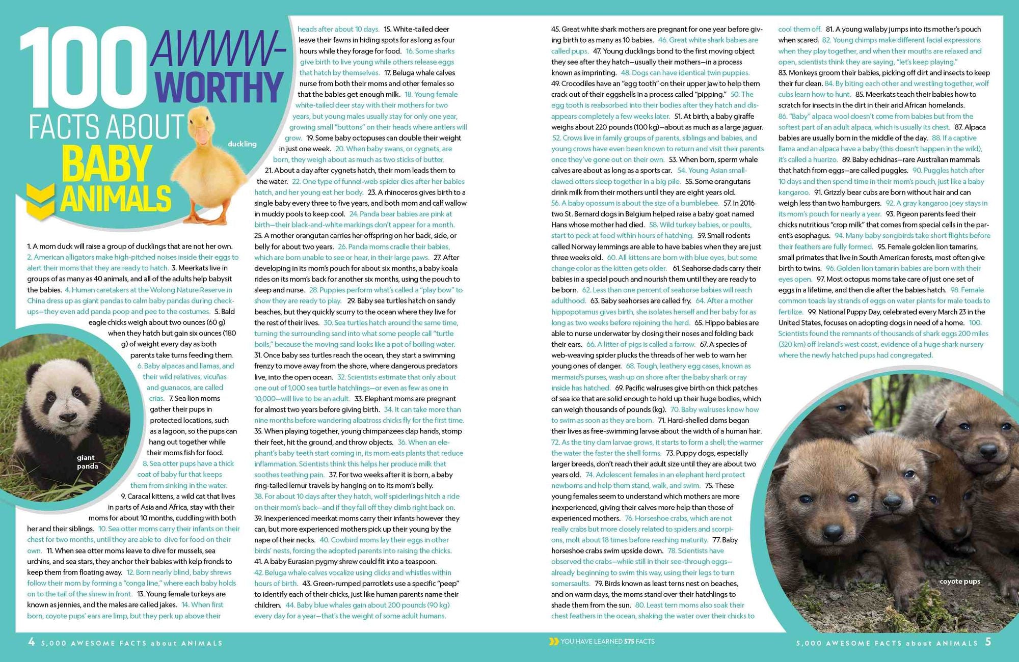 5,000 Awesome Facts About Animals