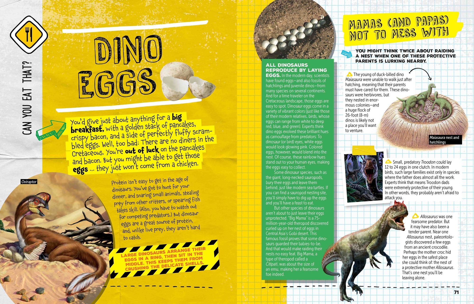 How to Survive in the Age of Dinosaurs: A Handy Guide to Dodging Deadly Predators, Riding Out Mega-Monsoons, and Escaping Other Perils of the Prehistoric