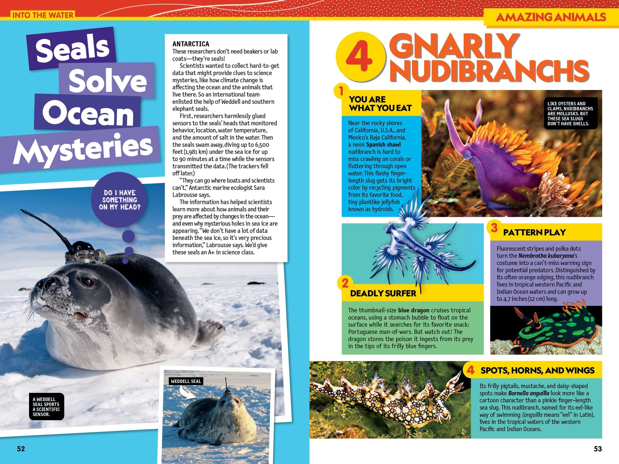 National Geographic Kids Almanac 2025