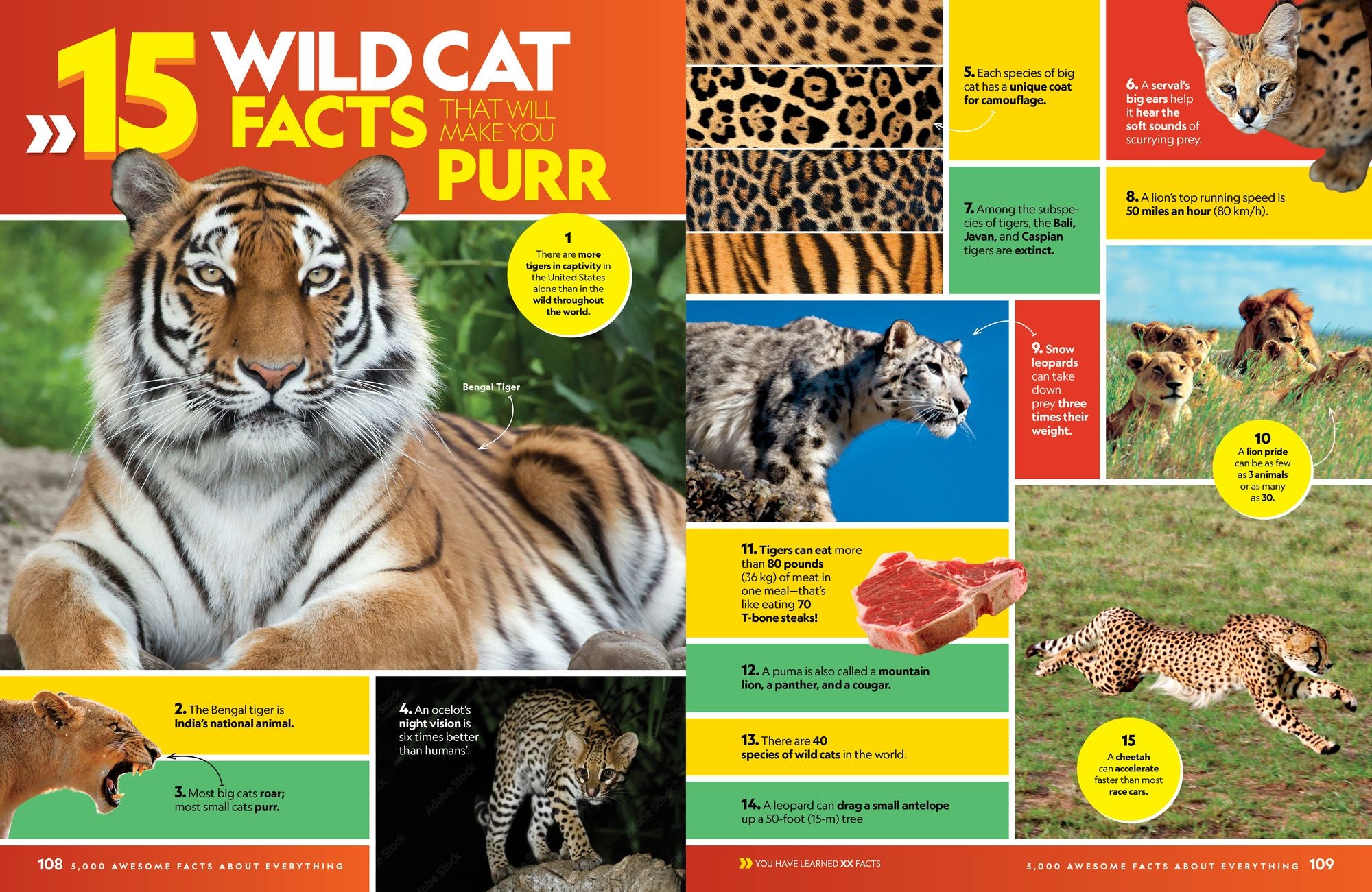 5,000 Awesome Facts (About Everything!): Updated and Expanded!: .