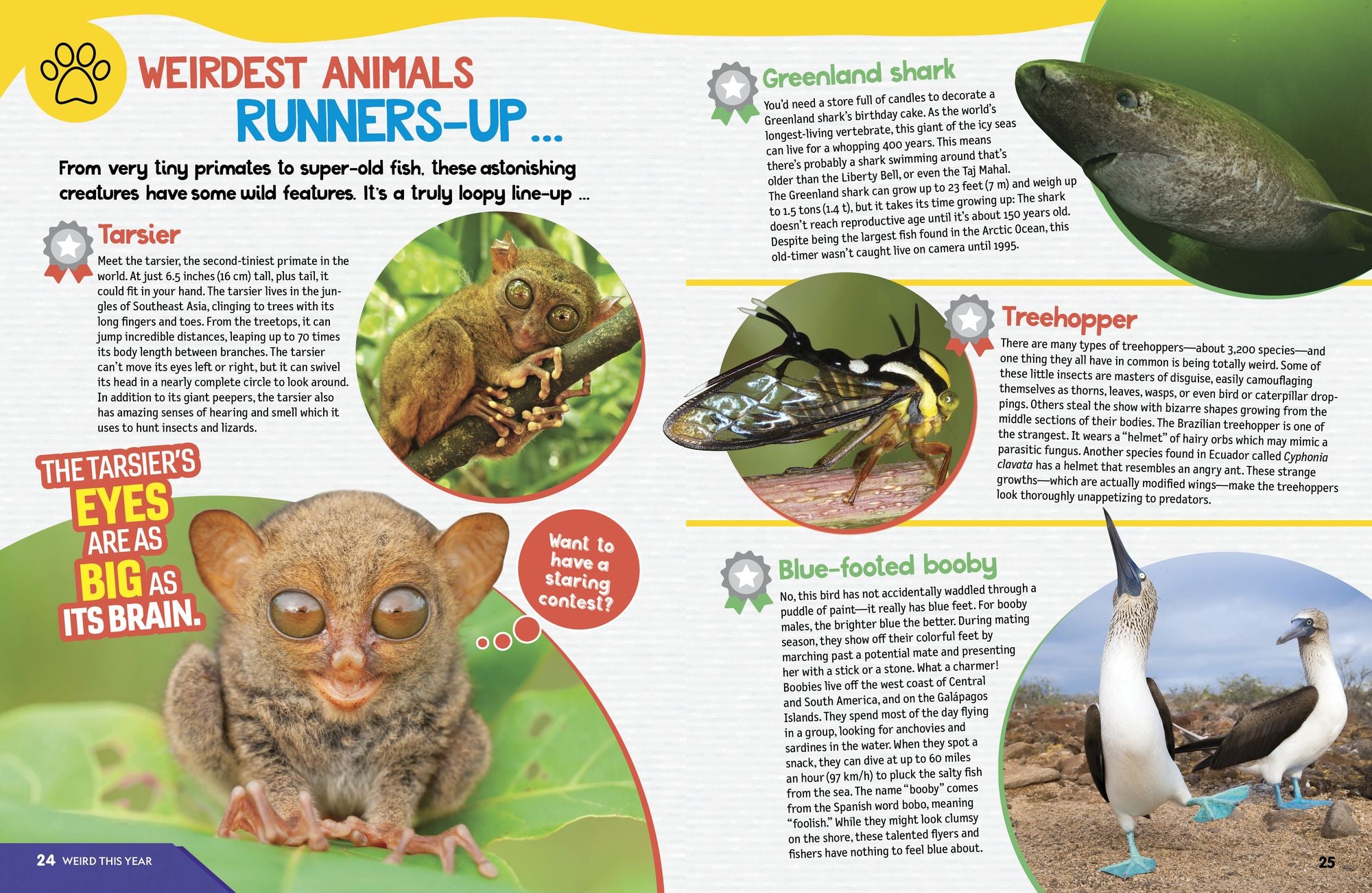 Weird But True World! 2025: Incredible facts, awesome photos, and weird wonders---for this year and beyond!