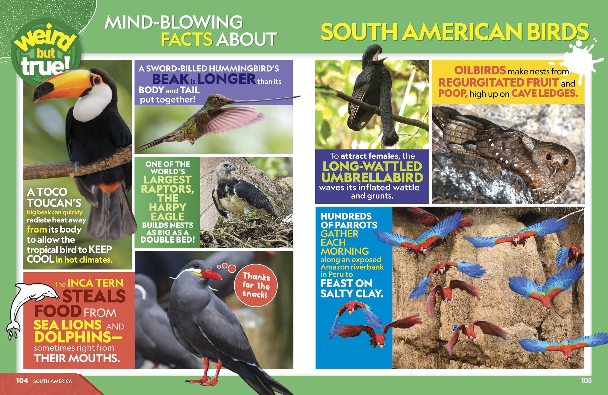 Weird But True World! 2025: Incredible facts, awesome photos, and weird wonders---for this year and beyond!