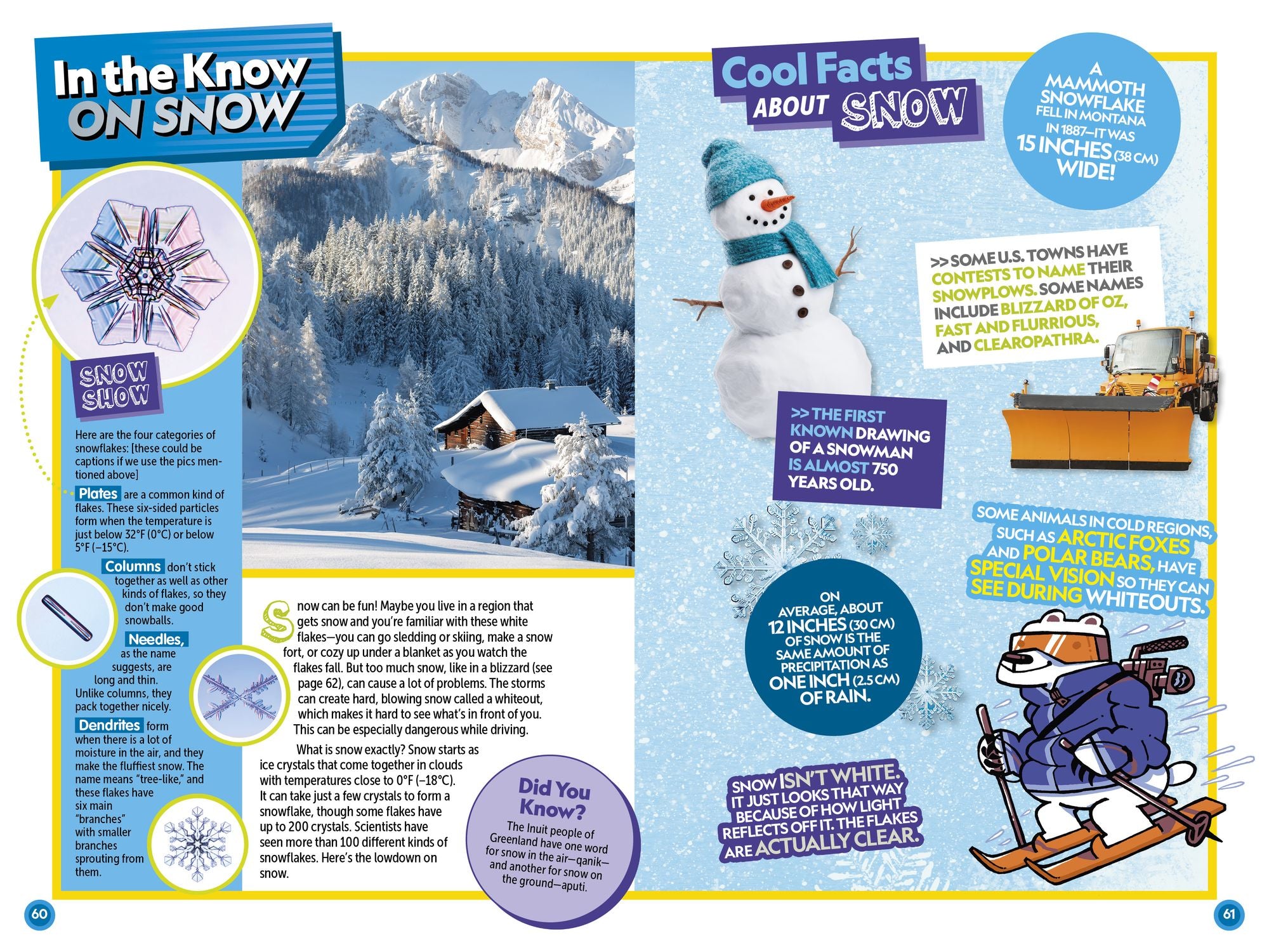Weird But True! Know-It-All: Weather & Natural Disasters