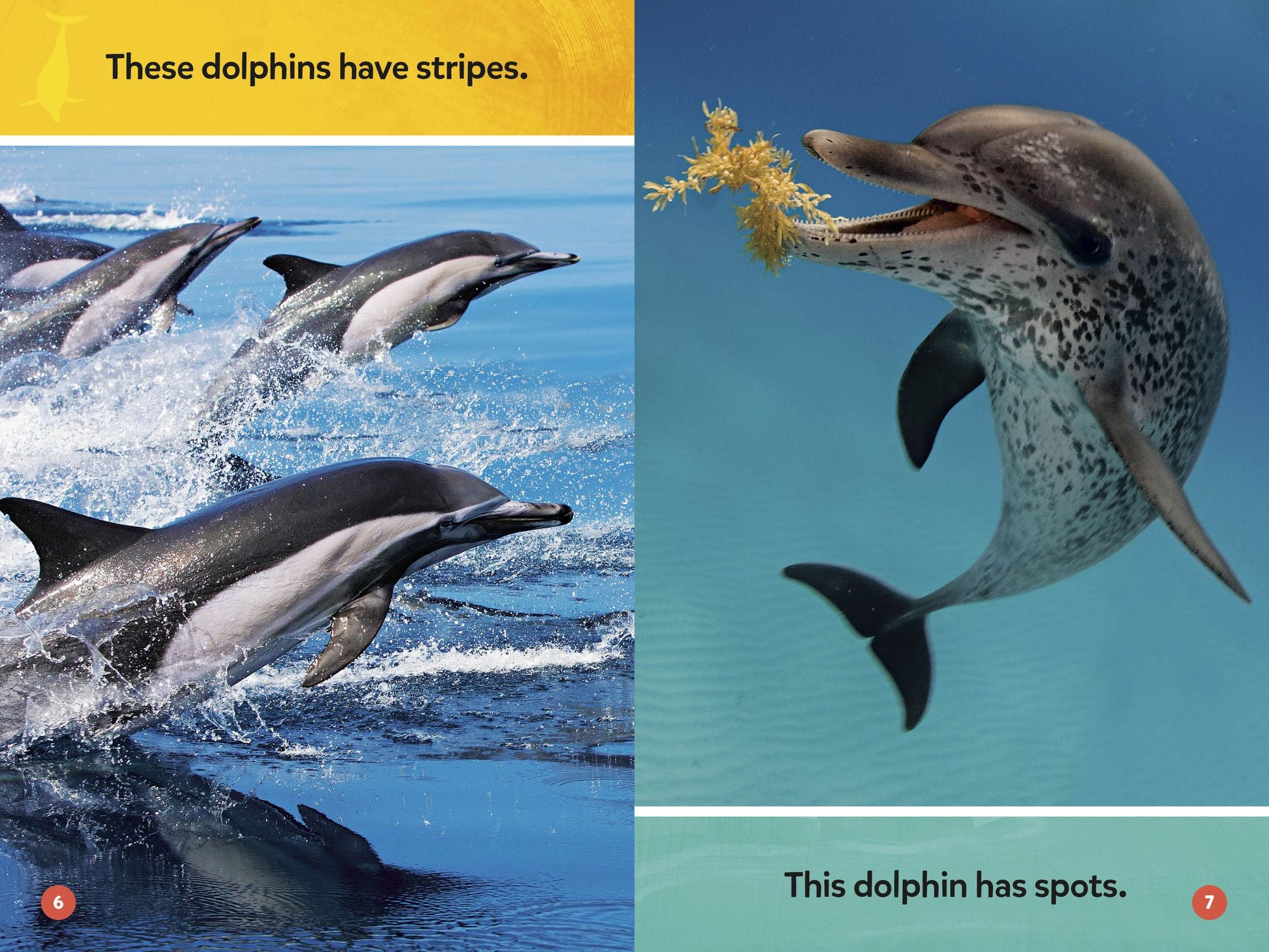 Make a Splash Collection (National Geographic Kids Readers, Pre-Reader): Five Books in One!