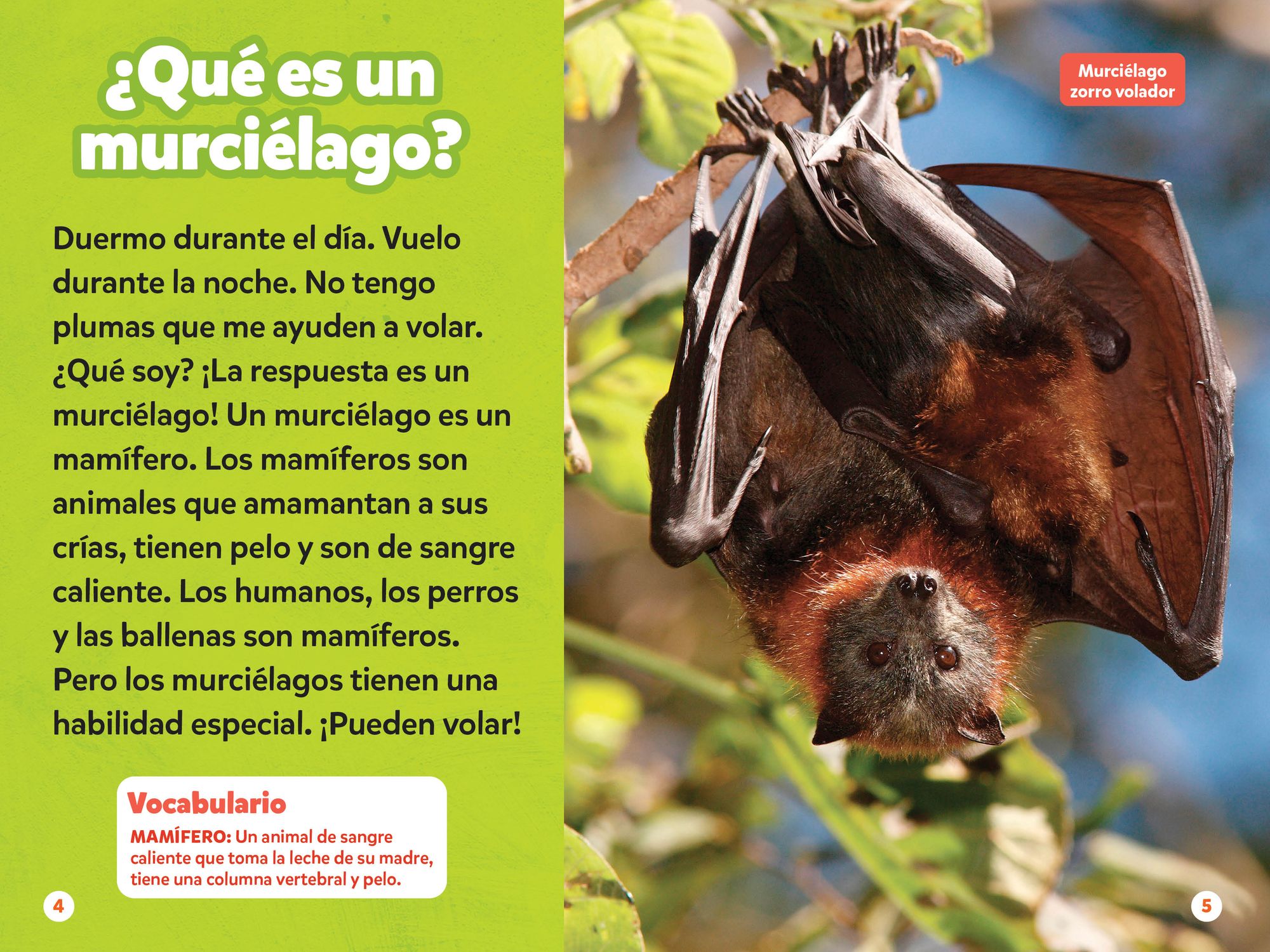 National Geographic Readers: Los Murciélagos