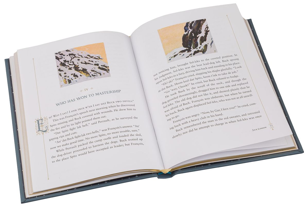 The Call of the Wild (Barnes & Noble Children's Collectible Editions)