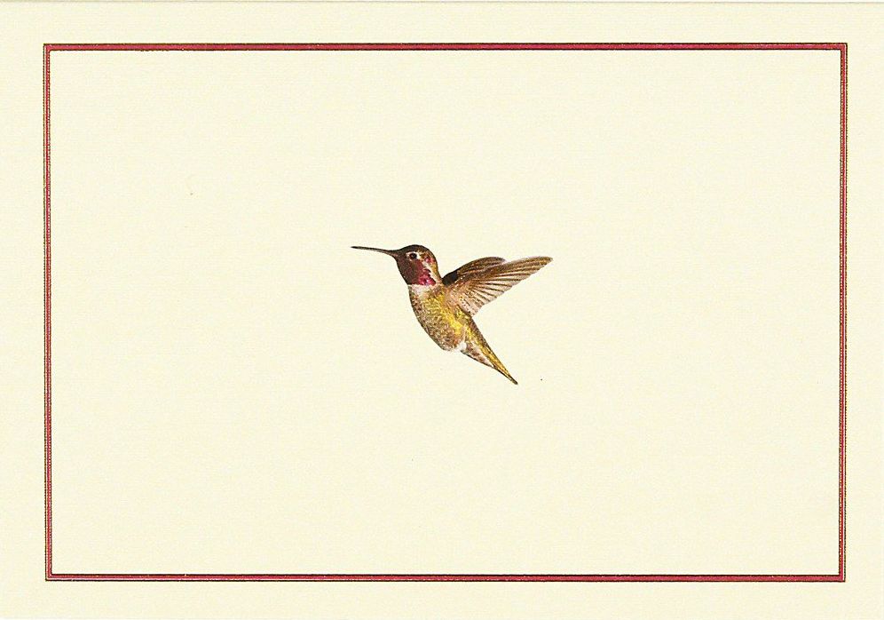 Hummingbird Flight Note Cards (Stationery, Boxed Cards)