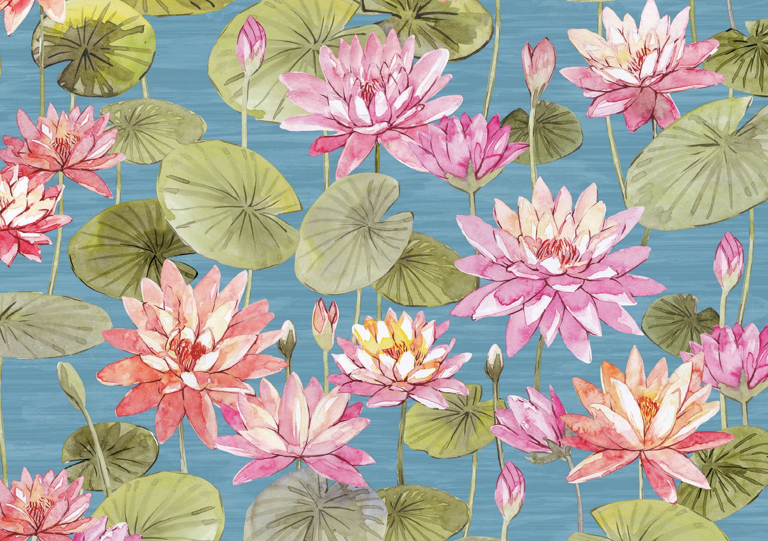 Water Lilies Note Cards