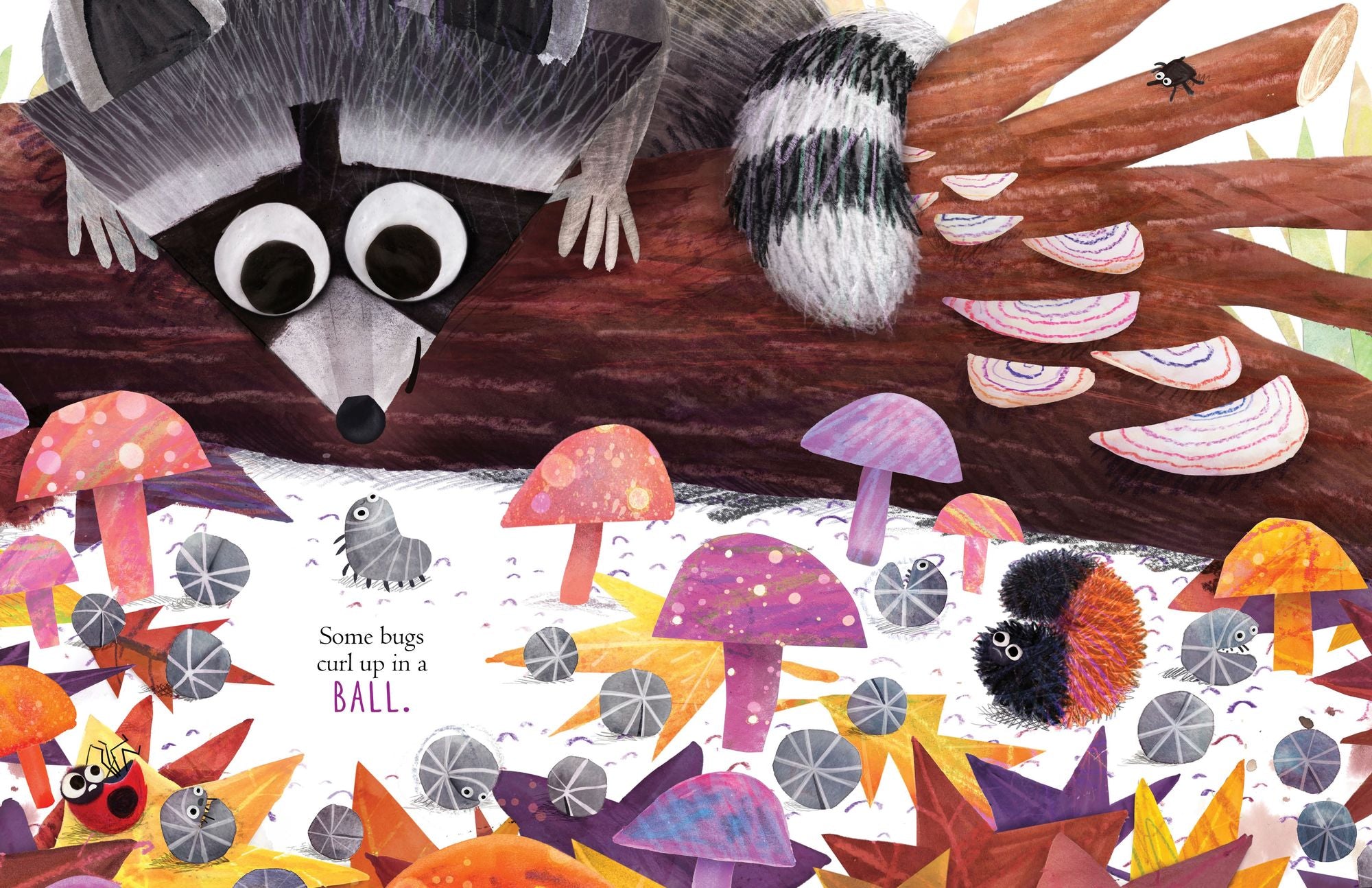 Some Bugs