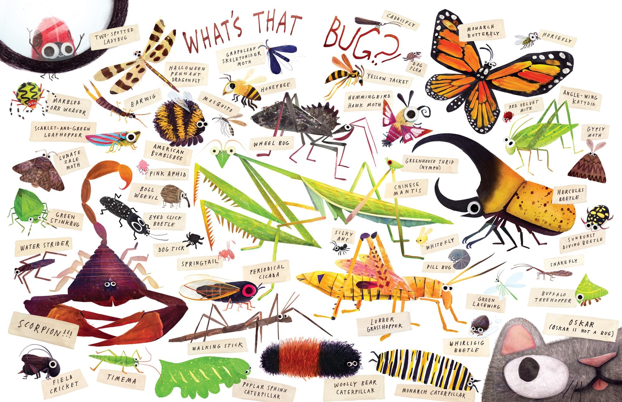 Some Bugs