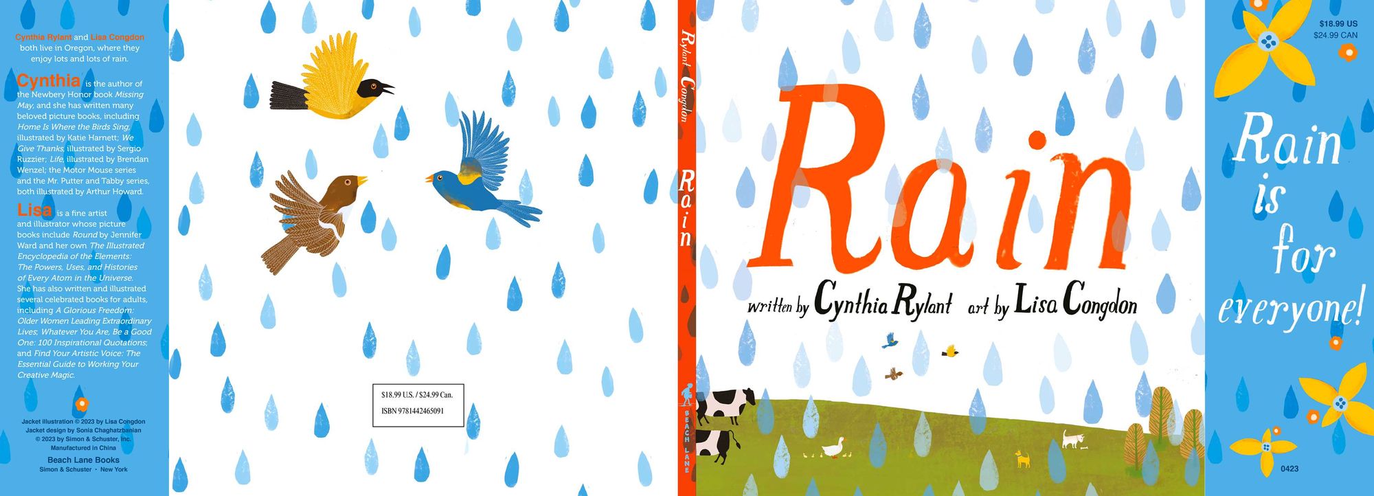 Rain