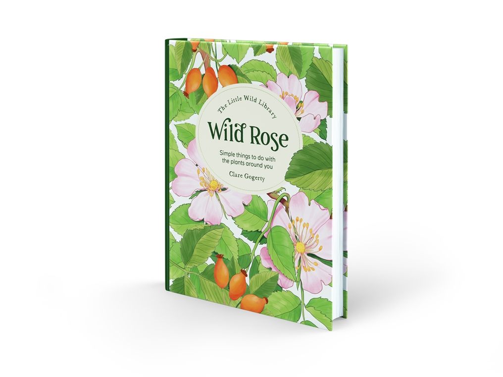 The Little Wild Library: Wild Rose: Simple things to do with the plants around you.