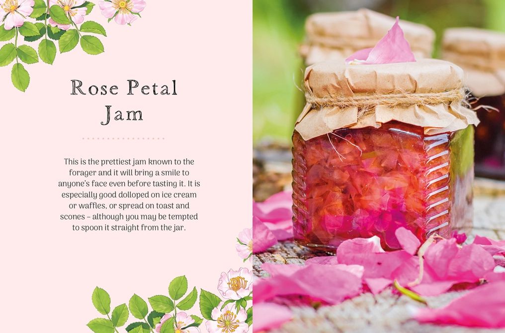 The Little Wild Library: Wild Rose: Simple things to do with the plants around you.