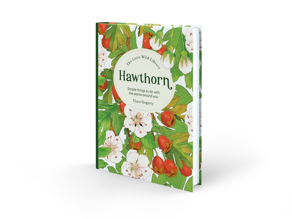 The Little Wild Library: Hawthorn: Simple things to do with the plants around you.