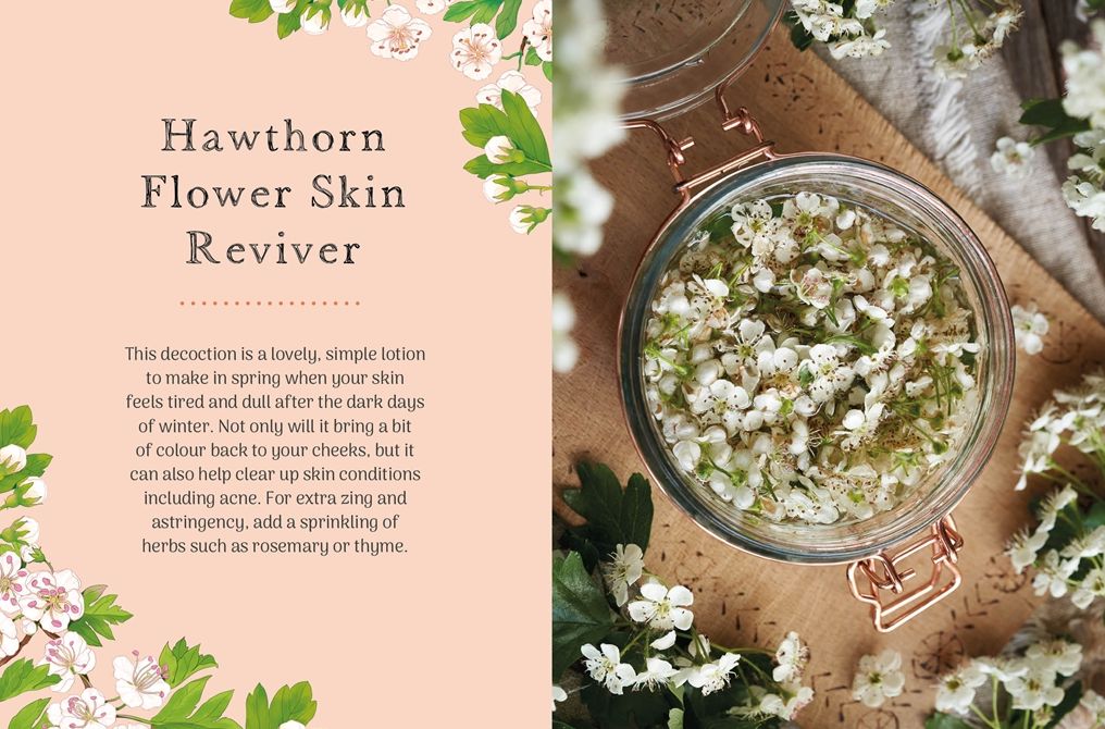 The Little Wild Library: Hawthorn: Simple things to do with the plants around you.