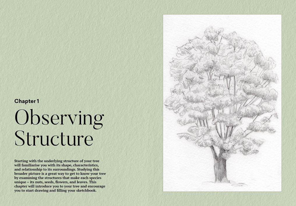 How to Draw a Tree: From the Fruit to the Forest: A Step-by-Step Course for the Nature Artist