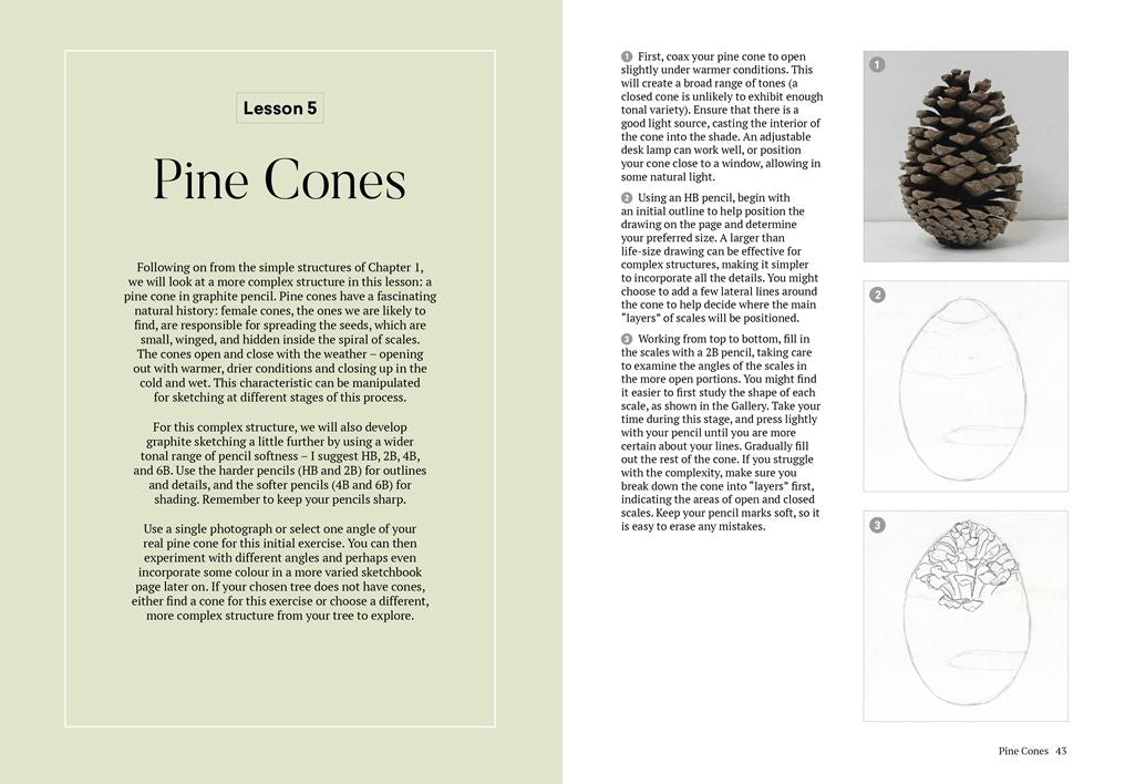 How to Draw a Tree: From the Fruit to the Forest: A Step-by-Step Course for the Nature Artist