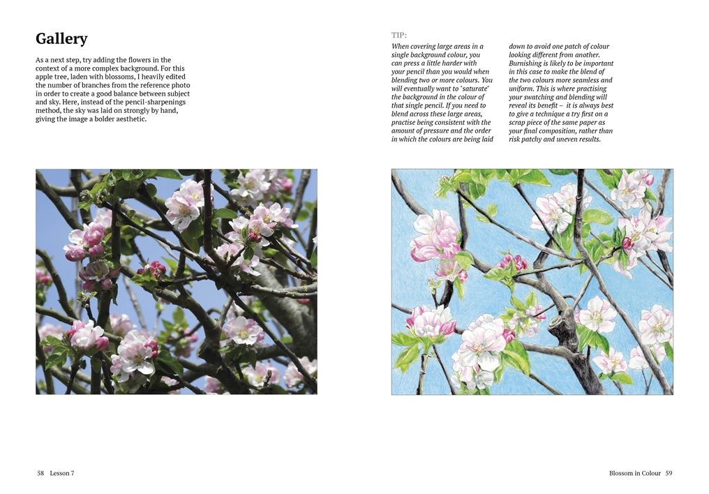 How to Draw a Tree: From the Fruit to the Forest: A Step-by-Step Course for the Nature Artist
