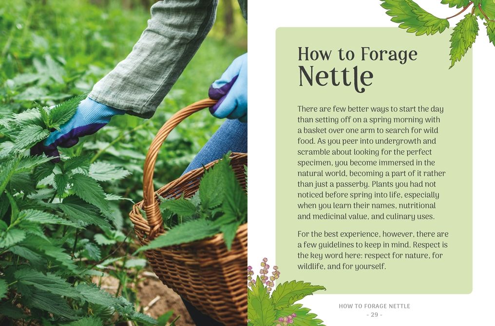 The Little Wild Library: Nettle: Simple things to do with the plants around you