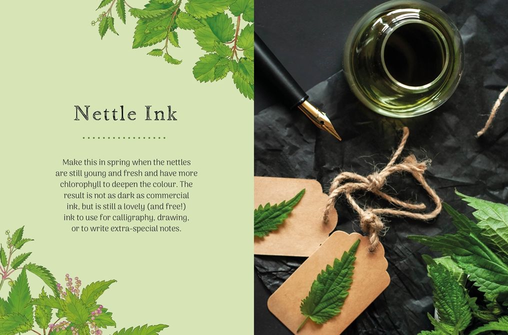 The Little Wild Library: Nettle: Simple things to do with the plants around you