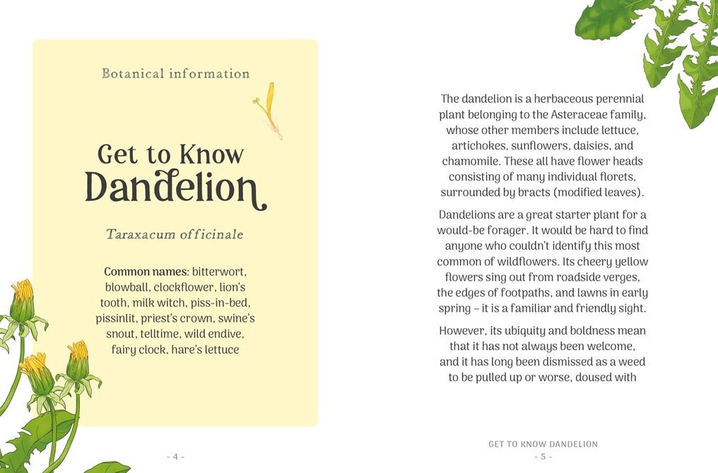 The Little Wild Library: Dandelion: Simple things to do with the plants around you.
