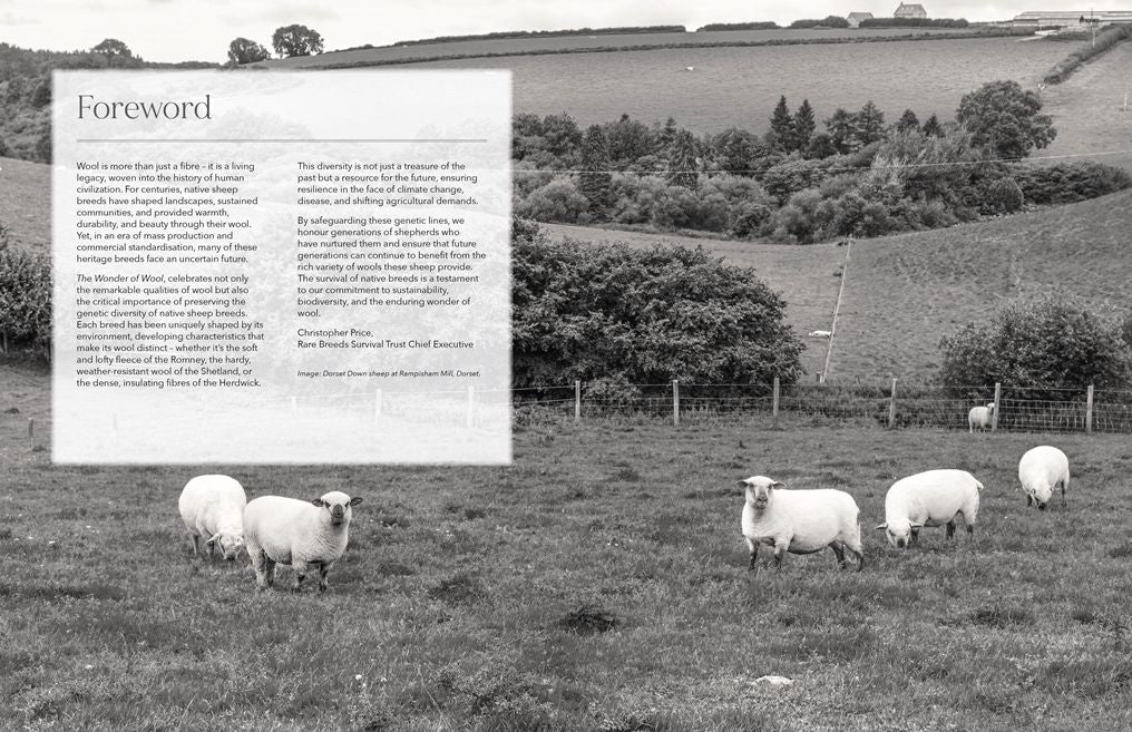 The Wonder of Wool: A knitter's guide to pure breed sheep