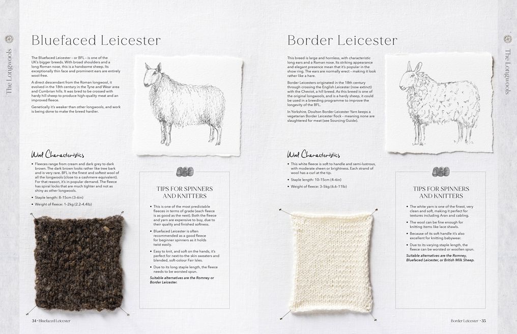 The Wonder of Wool: A knitter's guide to pure breed sheep