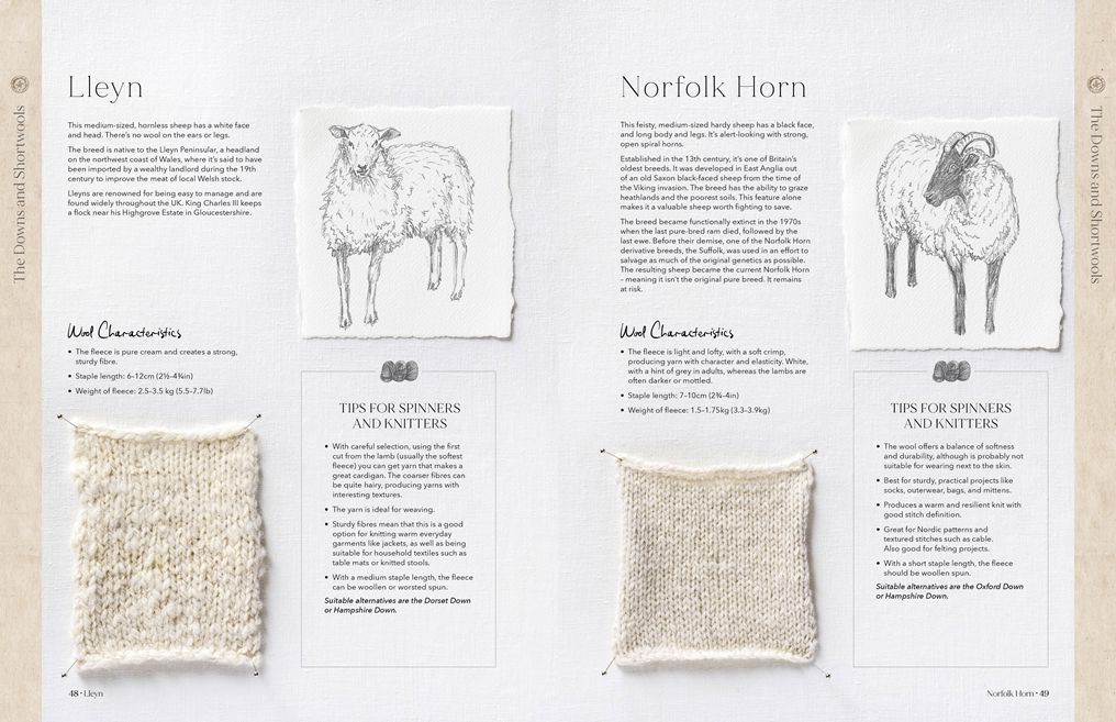 The Wonder of Wool: A knitter's guide to pure breed sheep