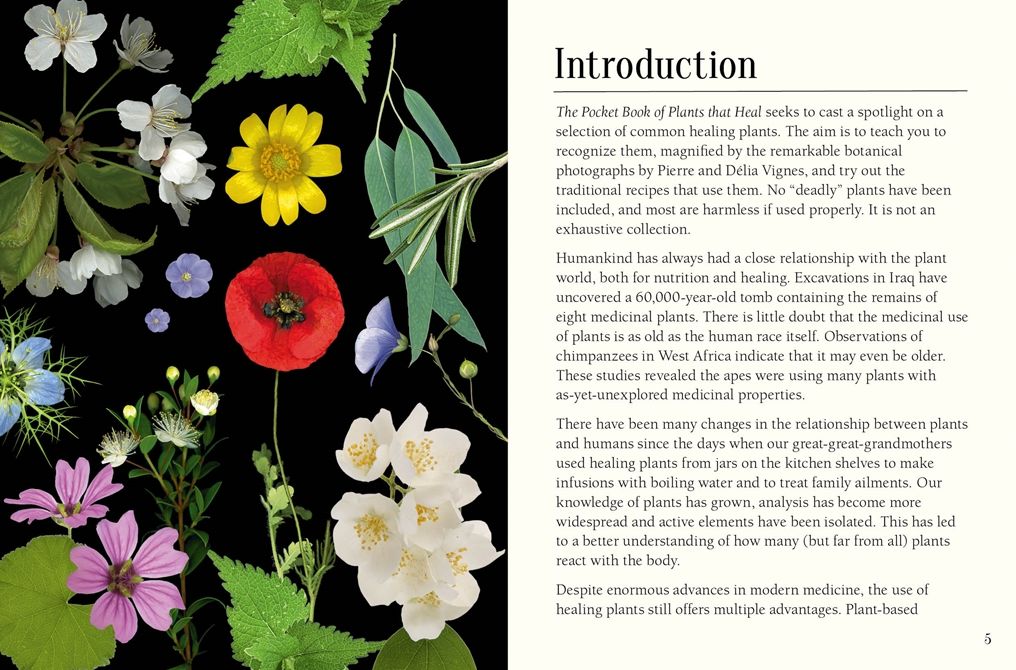 The Pocket Book of Plants that Heal: The illustrated herbarium of medicinal plants