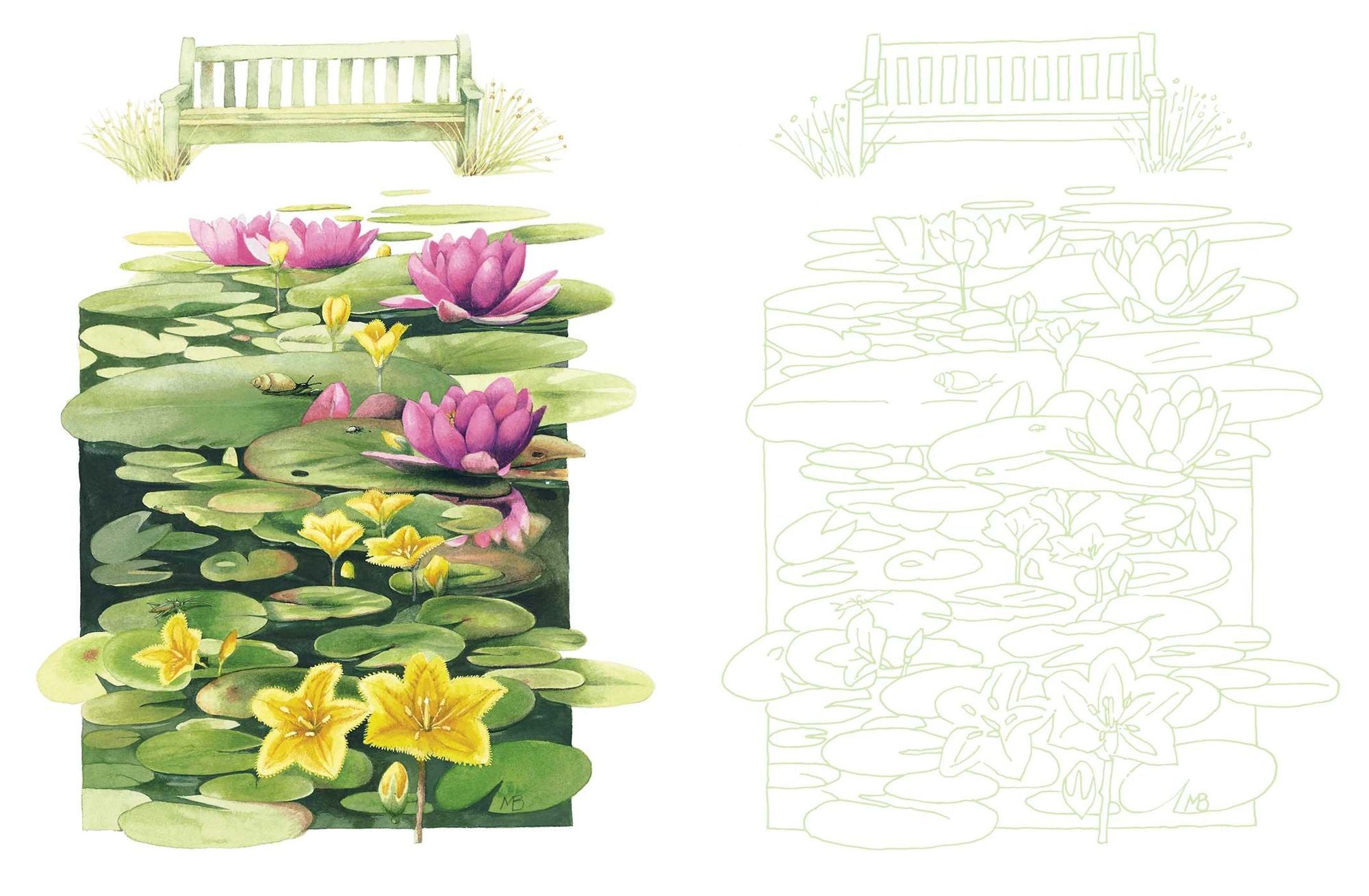 Posh Adult Coloring Book: Inspired by Nature