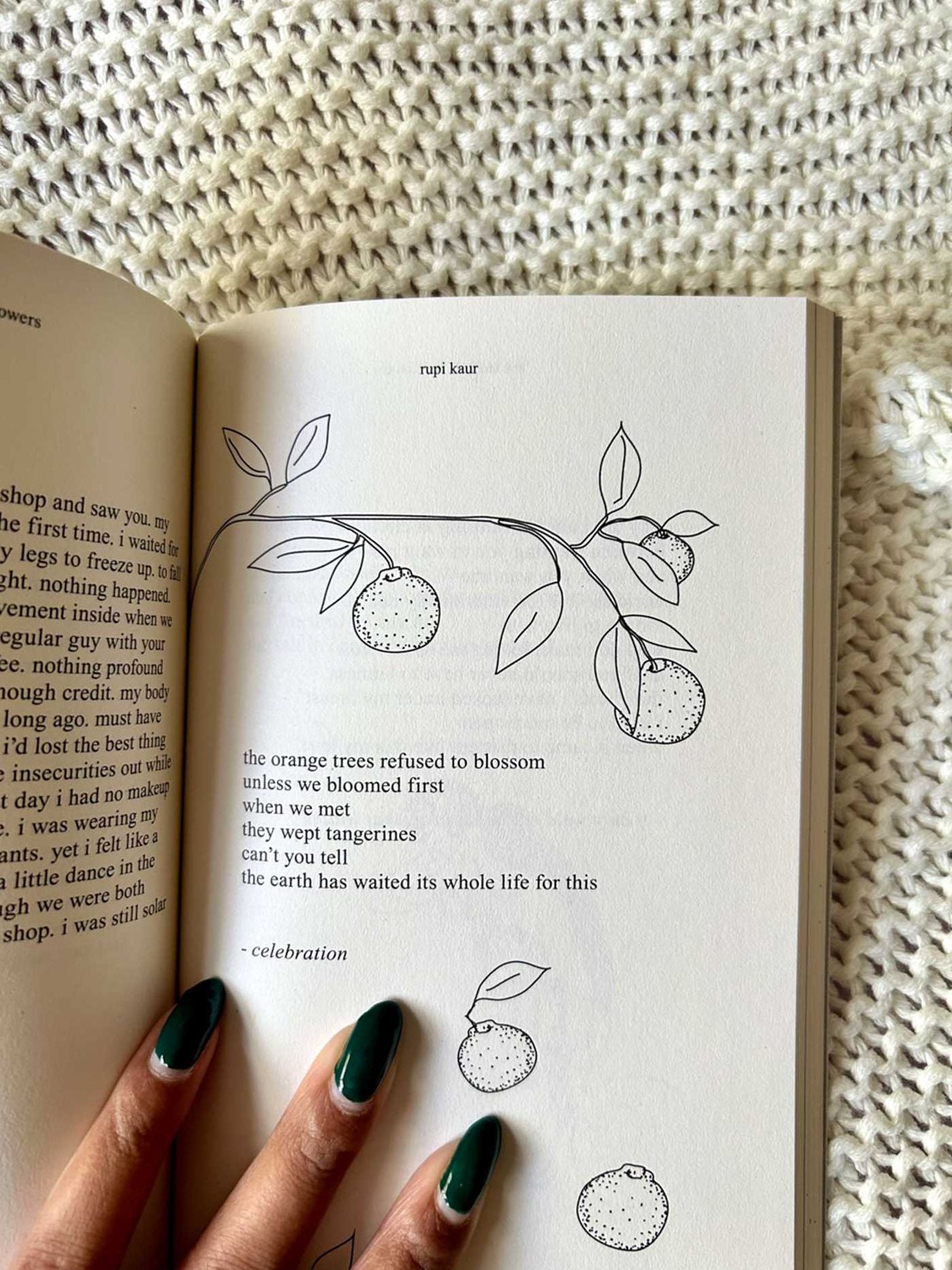 The Sun and Her Flowers
