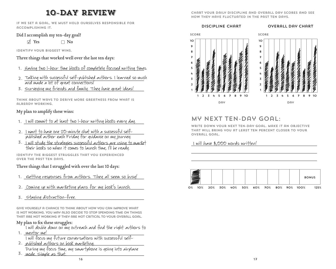 The 100-Day Goal Journal: Accomplish What Matters to You