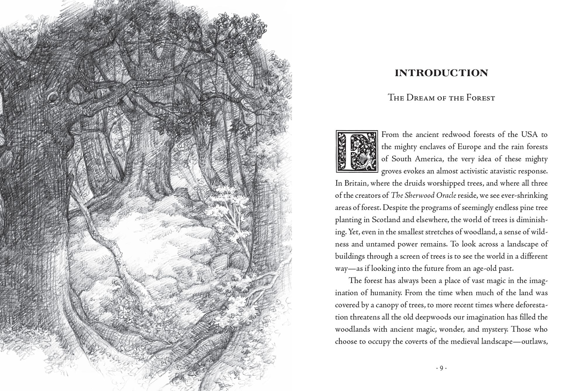 The Sherwood Oracle: Hidden Lore of the Wild Forest